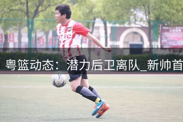 粤篮动态：潜力后卫离队 新帅首秀谈感受 徐杰返乡战引关注